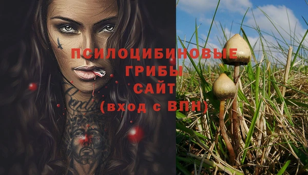 прущие грибы Белоозёрский