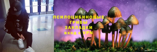 стаф Беломорск