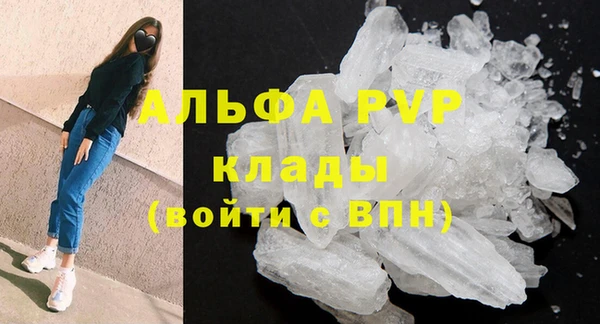 стаф Беломорск