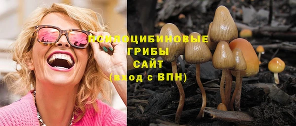 прущие грибы Белоозёрский