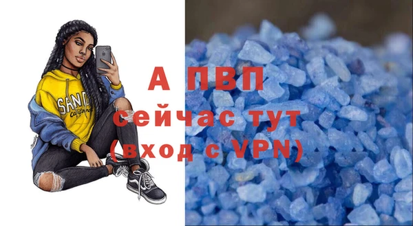 стаф Беломорск