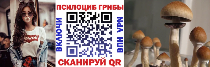 Псилоцибиновые грибы мухоморы  Великие Луки 