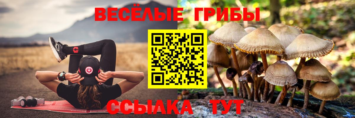 Великие Луки  наркота  Вход с VPN  Галлюциногенные грибы прущие грибы 