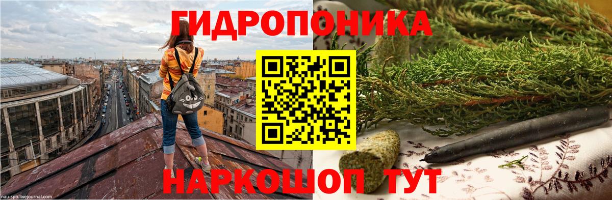 Бошки марихуана OG Kush Великие Луки